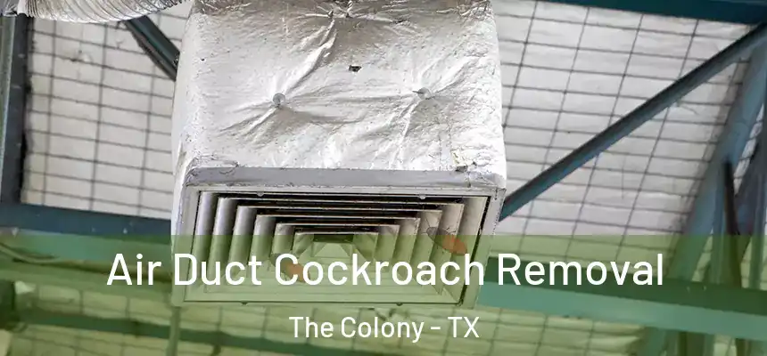  Air Duct Cockroach Removal The Colony - TX