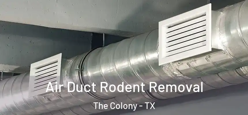 Air Duct Rodent Removal The Colony - TX