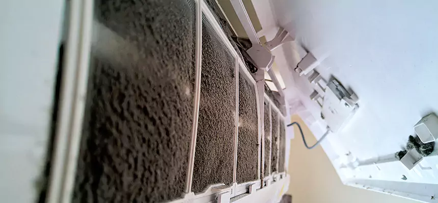 Preventive Air Duct Bacteria Removal in The Colony