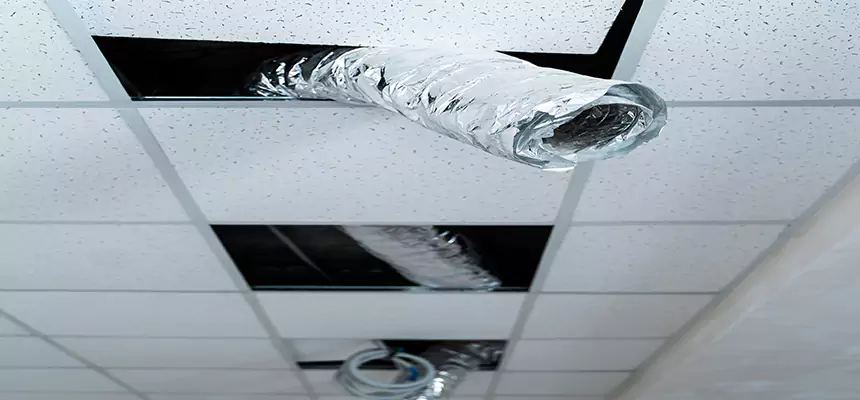 Affordable HVAC Sanitizing After Pest Removal in The Colony