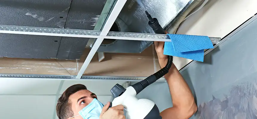 Our Air Duct Rodent Removal Services in The Colony, TX