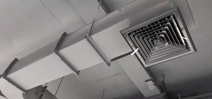 Restorative Allergy Relief Vent Cleaning – Coil, Blower & Housing Detail in The Colony