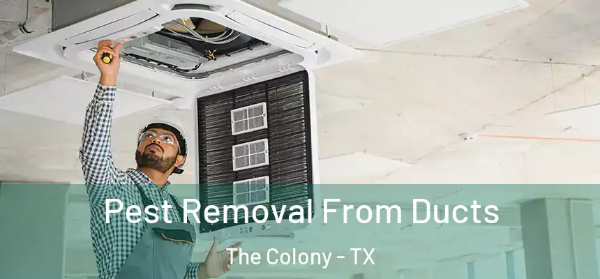 Pest Removal From Ducts The Colony - TX