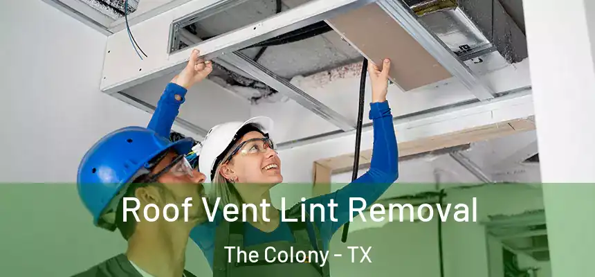 Roof Vent Lint Removal The Colony - TX