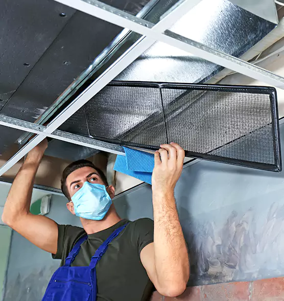 About Air Duct Bacteria Removal in The Colony