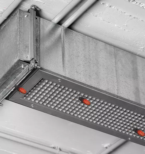 About Air Duct Cockroach Removal in The Colony, TX
