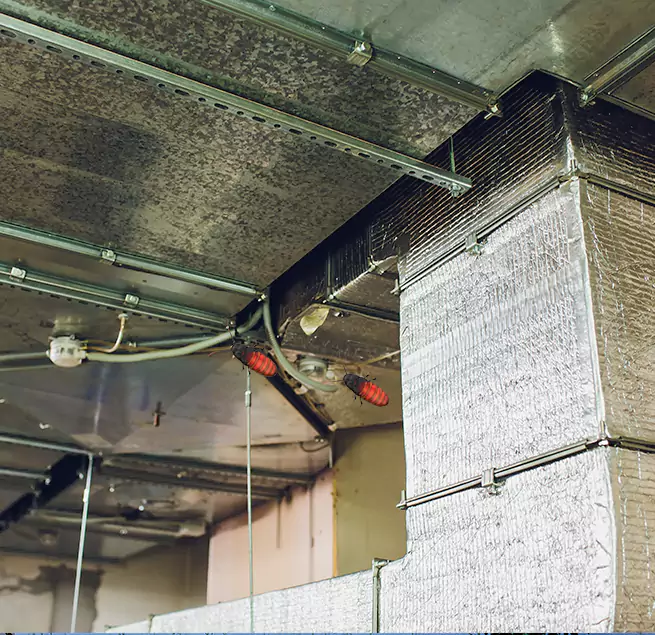 Why Homeowners & Businesses Trust Us in The Colony, TX?