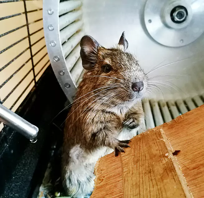 Why Homeowners & Businesses Trust Us The Colony, TX