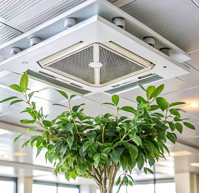 Why Homeowners & Businesses Trust Us in The Colony, TX?