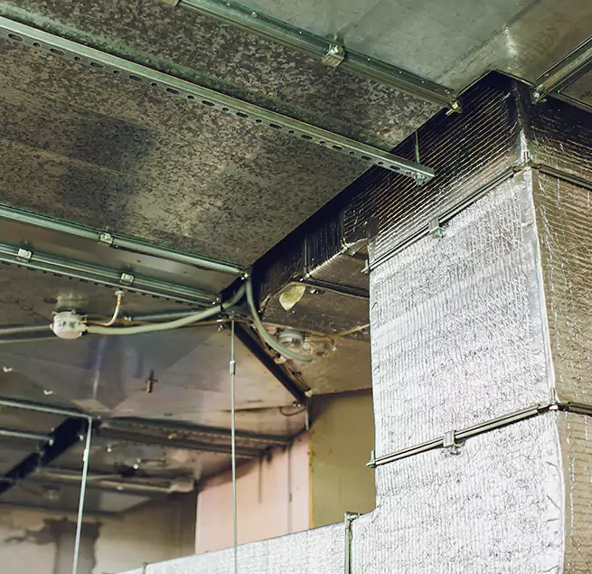 Why Homeowners & Businesses Trust Us in The Colony, TX?